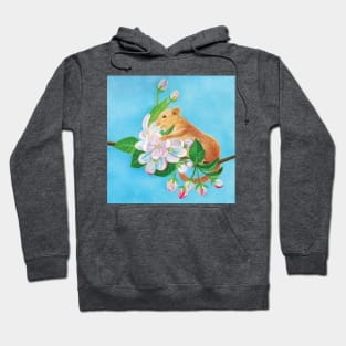 Common dormouse, hazel dormouse climbing in a spring blooming branch Hoodie